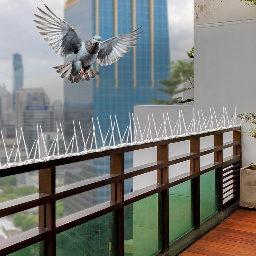 Bird Spikes